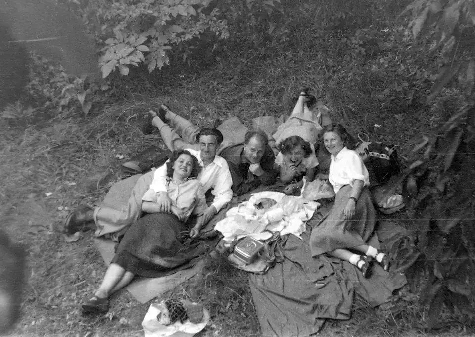 A picnic · 1953