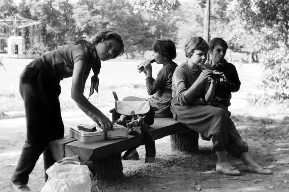A picnic · 1961