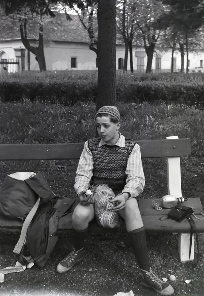A picnic · 1954