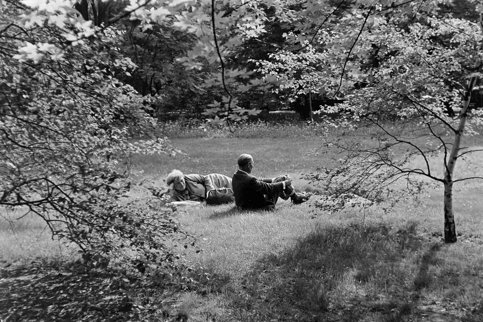 A picnic · 1971