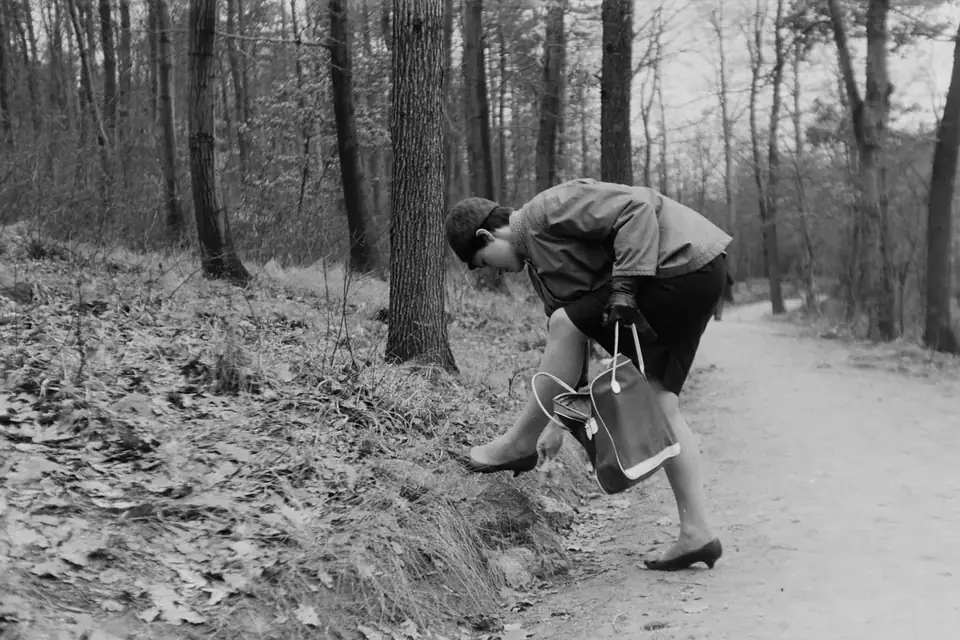 An outing · 1965