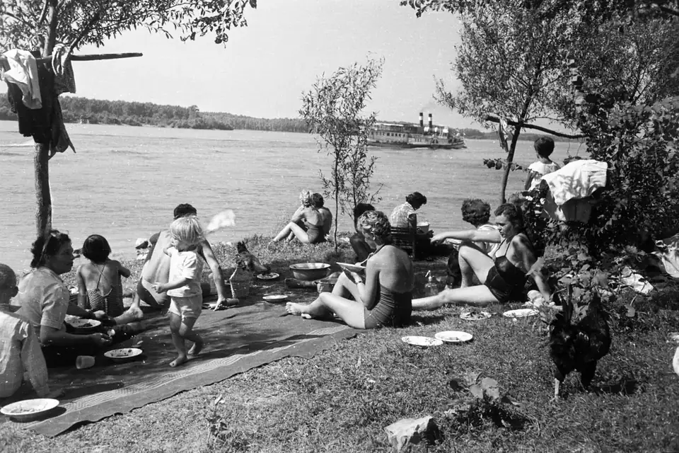 A picnic · 1962