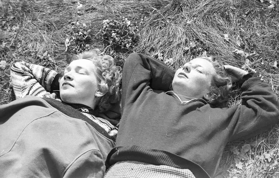 A picnic · 1958