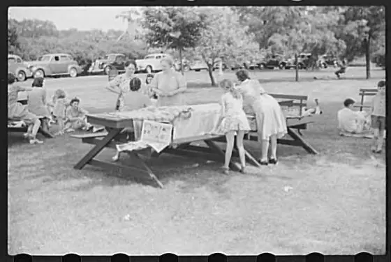 Family picnic